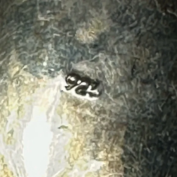 Red Coral & 925 Sterling Silver Oval Shape Pendant - Picture 3 of 6